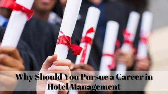 Why Should You Pursue a Career in Hotel Management?